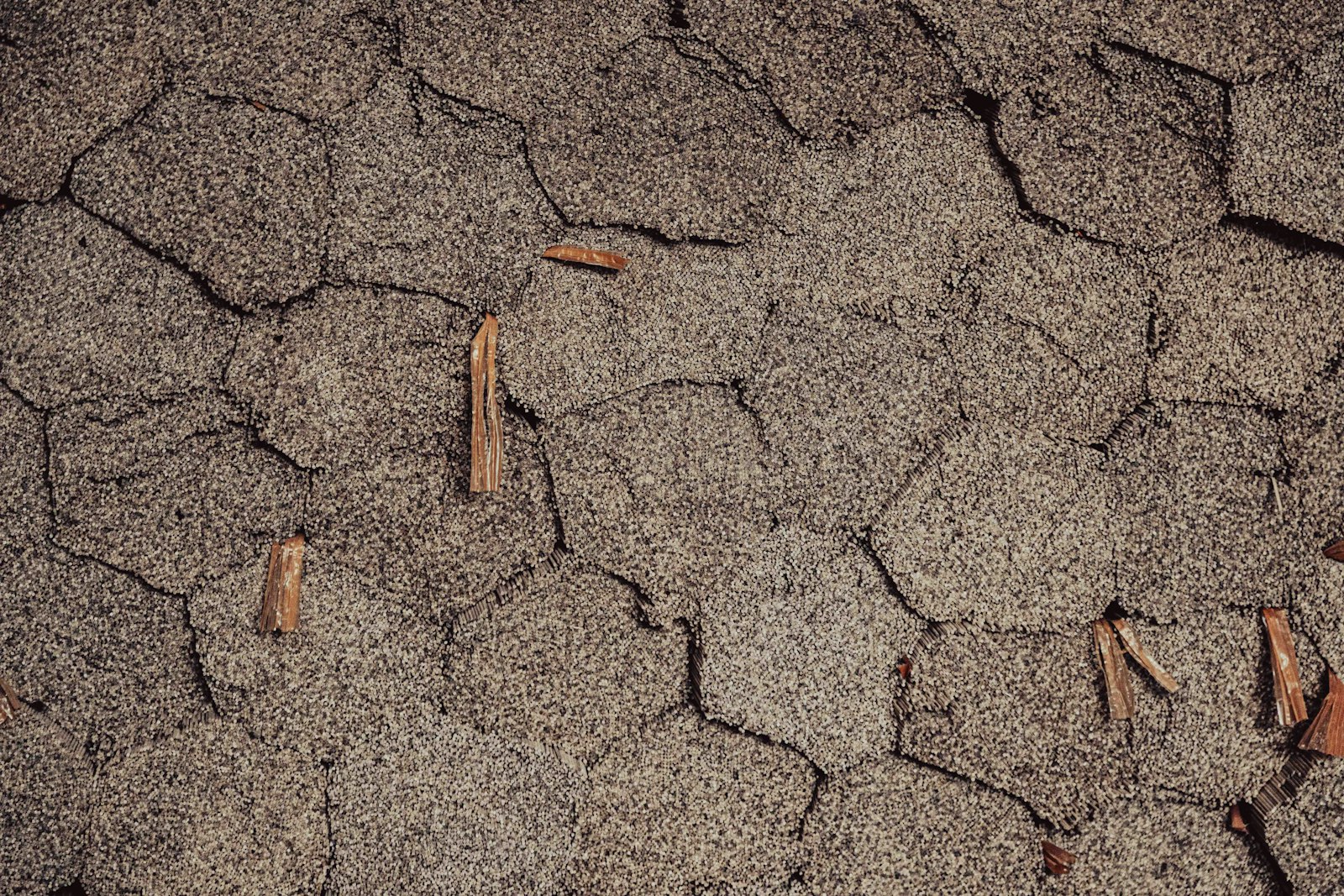 Close-up of worn asphalt shingles showing age, granule loss, and weathering